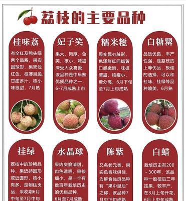 荔枝种植条件及环境要求（种植区域）