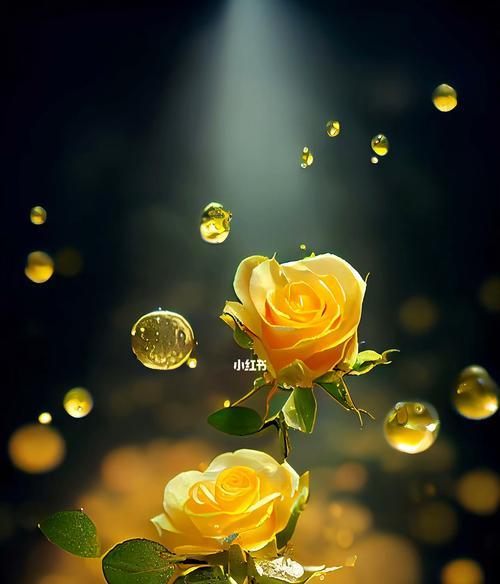 黄玫瑰花语的美丽诠释（以花传情）