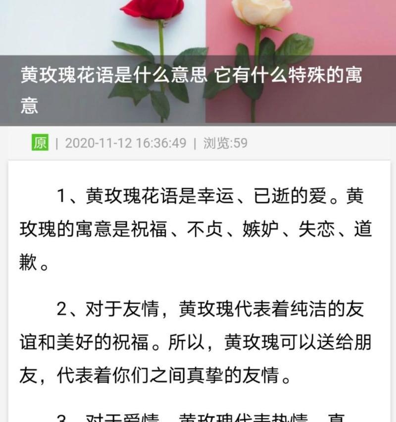 十二支玫瑰花花语解读（玫瑰花语的意义及十二种花色玫瑰的含义）