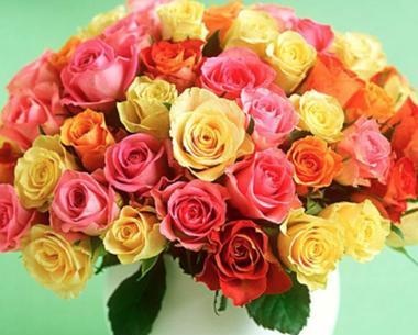 13朵玫瑰的花语和象征意义（了解每一朵花的寓意）