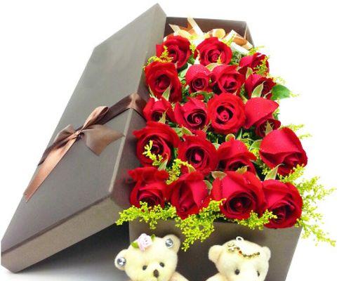 19支玫瑰花的寓意与传情之道（花开花落）