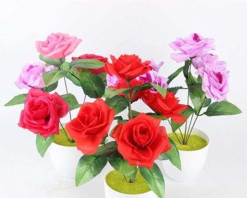 传递爱意的8朵粉玫瑰花（从花语到文化）