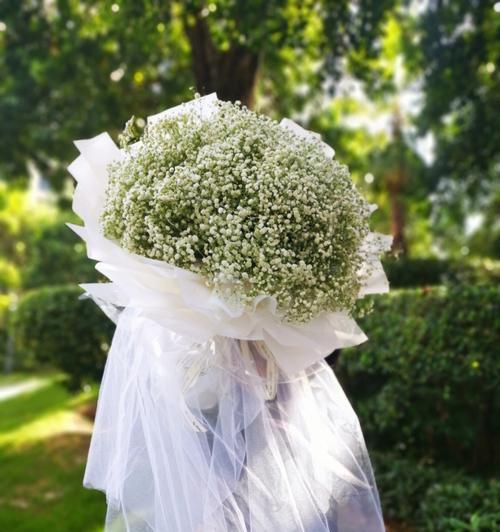 满天星鲜花的花语与象征（探索满天星鲜花所代表的意义与寓意）