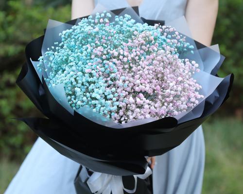 满天星鲜花的花语与象征（探索满天星鲜花所代表的意义与寓意）