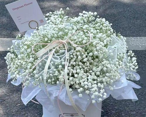 满天星鲜花的花语与象征（探索满天星鲜花所代表的意义与寓意）