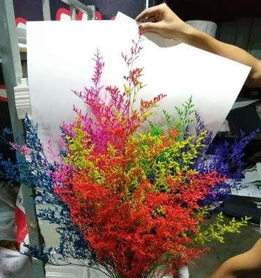玫瑰花与情人草（浪漫花语与独特祝福）