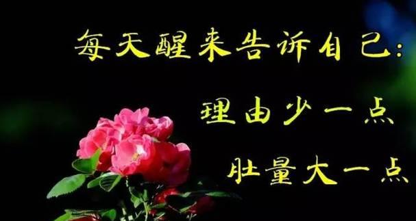 以牵牛花的花语为主题的文章（希望你开心——牵牛花的花语与寓意）
