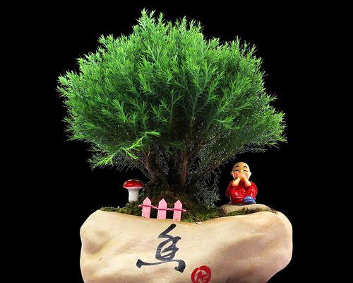 以松柏代表哪个生肖（揭秘松柏与生肖的奇妙关系）