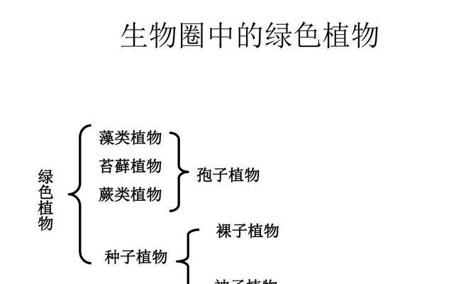 如何种植杏仁并促进其发芽（快速种植）