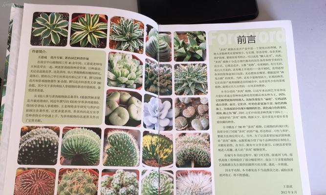 秀妍多肉的繁殖方法与注意事项（多肉爱好者必知的繁殖秘籍与常见问题解答）