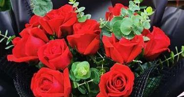 16朵玫瑰花语含义及传统寓意（探索16朵玫瑰花语的深层含义及象征）