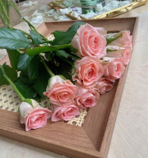 粉玫瑰花的含义及象征之美（以8朵粉玫瑰花传递的爱意与祝福）