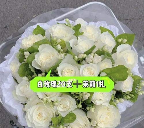 白玫瑰的花语和象征（纯洁）