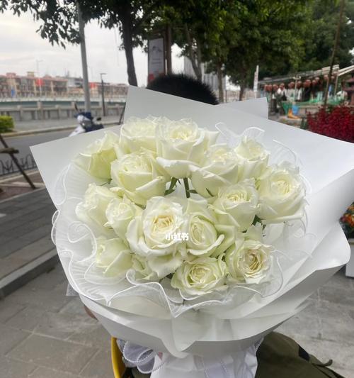白玫瑰的花语和象征（纯洁）