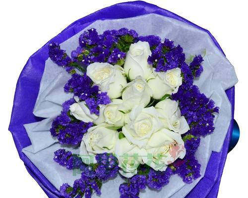 白色玫瑰花的花语与传说（探索玫瑰花的秘密）