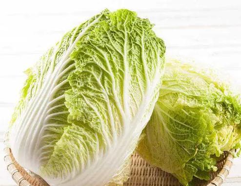 大白菜的象征意义（探究大白菜在中国文化中的象征性含义）