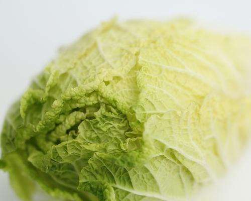 大白菜可以生吃吗（生吃大白菜的营养价值与注意事项）