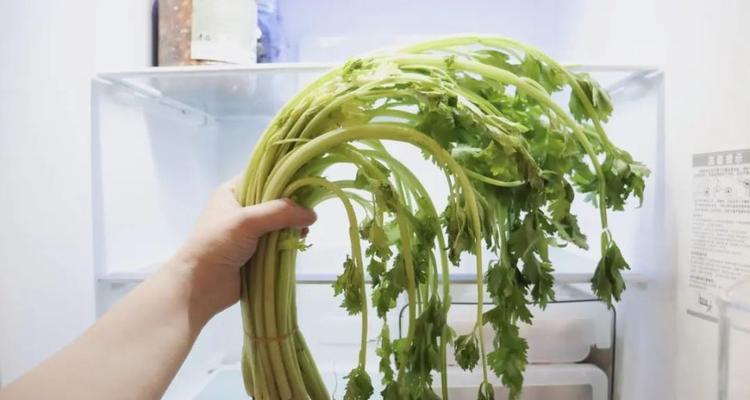 大葱能否放冰箱保存（大葱存储方法解析）
