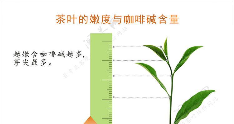 金骏眉如何保存才能延长保质期？最佳保存时间是多久？