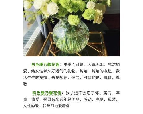 康乃馨不同颜色的花语是什么？每种颜色的含义有何不同？