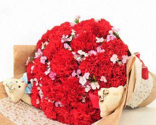 康乃馨的花语是什么？不同颜色的康乃馨代表什么含义？