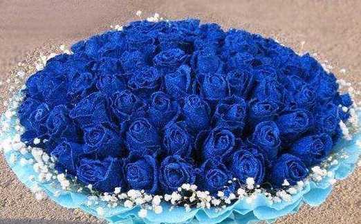 蓝玫瑰代表什么含义？蓝色花朵的神秘花语解析？