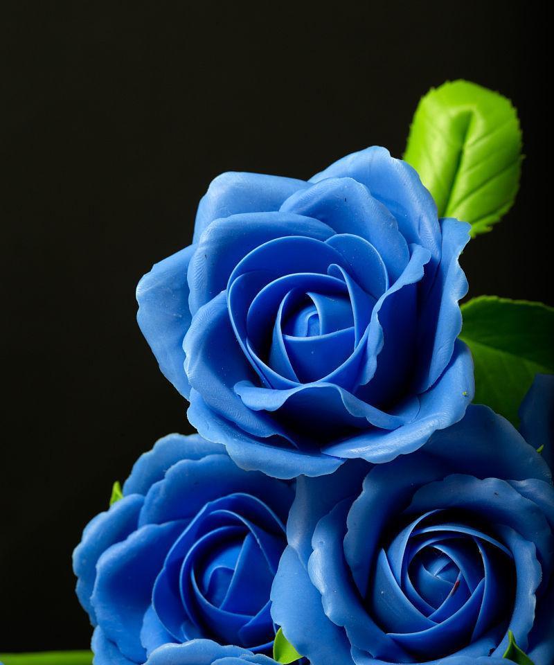 蓝色玫瑰花代表什么含义？蓝色玫瑰花的寓意是什么？