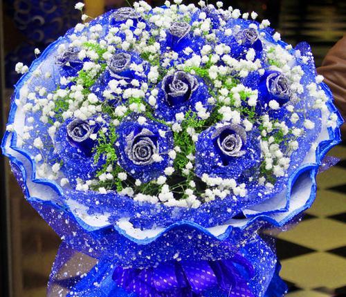 蓝色妖姬11朵代表什么意思？花语背后的含义是什么？
