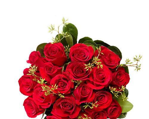 六朵玫瑰代表什么意思？花语背后的浪漫含义是什么？