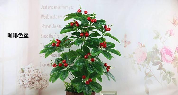 金玉满堂花养护技巧？如何确保其顺利开花？