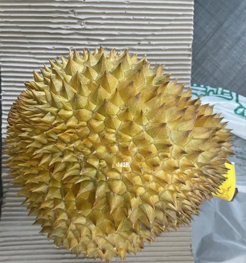 金枕榴莲怎么判断是否熟透？看这些特征准没错！