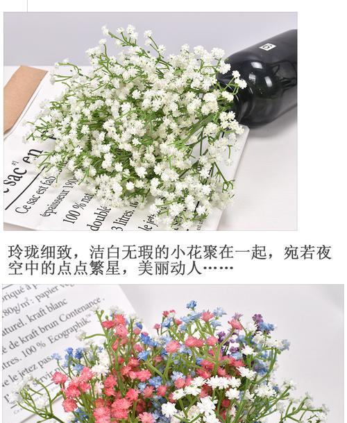 满天星代表什么含义？花语背后的故事是什么？
