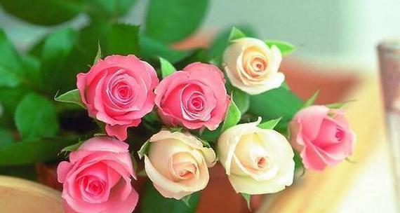 玫瑰花束中每朵花的含义是什么？