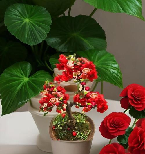 宝宝盆栽的花语是什么？它象征着哪些美好的祝愿？