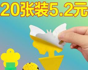 花卉专用粘蝇纸的作用是什么？