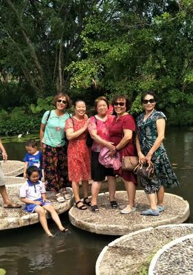 花卉园中哪些路线更有趣？如何规划花卉园的游玩路线？