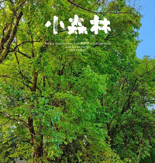 花卉园中哪些路线更有趣？如何规划花卉园的游玩路线？