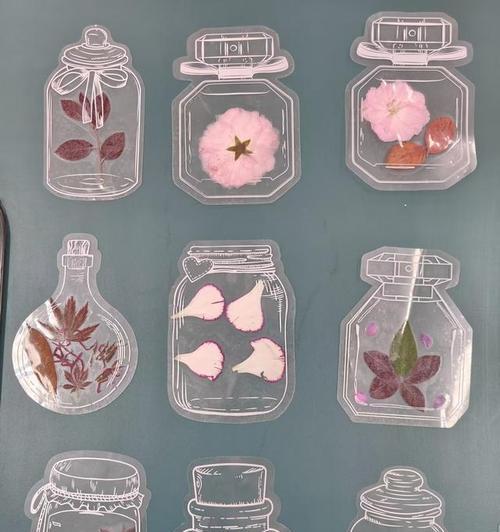 植物书签标本的制作步骤是什么？