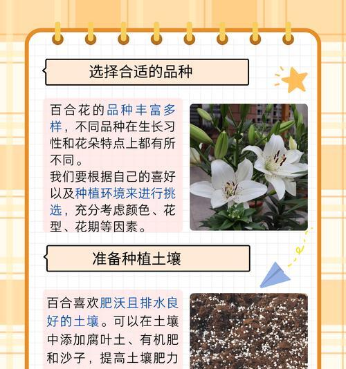 百合种植剪根步骤图解是什么？如何正确剪根以促进百合生长？