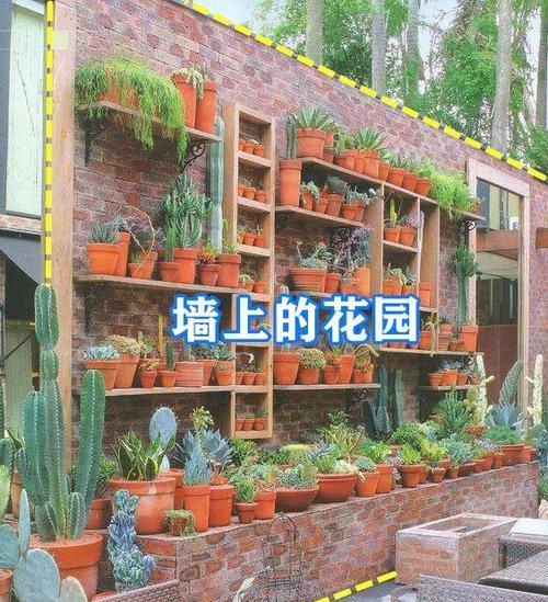 适合围墙内的花卉有哪些？如何选择围墙植物？