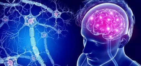 中医中植物神经紊乱的学名是什么？它的症状和治疗方法有哪些？