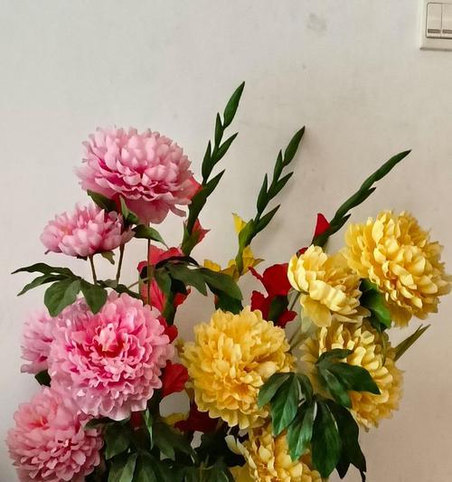 龙年房间摆放什么植物？有哪些植物适合在龙年摆放？