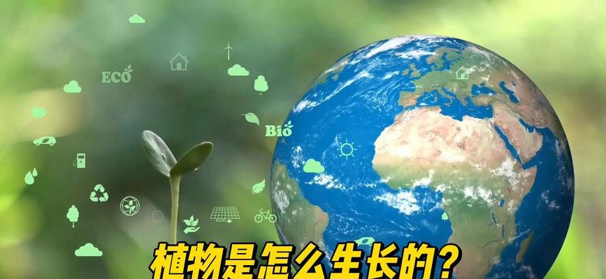 植物正常生长需要哪些条件？如何创造适宜的环境？