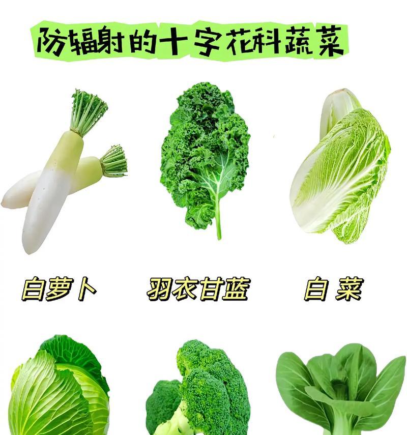 十字科植物有哪些特征？十字科植物包括哪些常见种类？