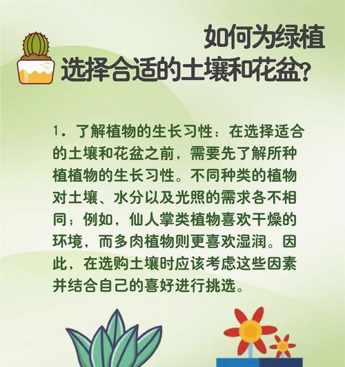 高档大型绿植花卉有哪些选择？它们的养护要点是什么？