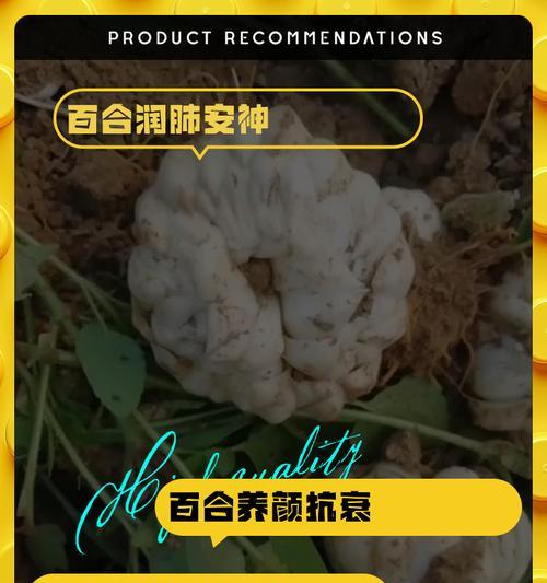 古福百合标签的含义是什么？它象征着什么？