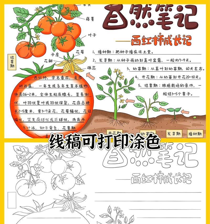 植物是如何生长变化的？影响植物变化的因素有哪些？
