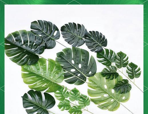 哪些植物具有象征意义？植物象征着什么？