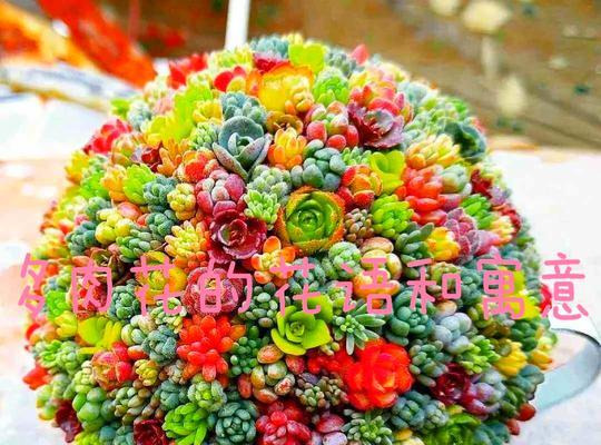 哪些植物具有象征意义？植物象征着什么？