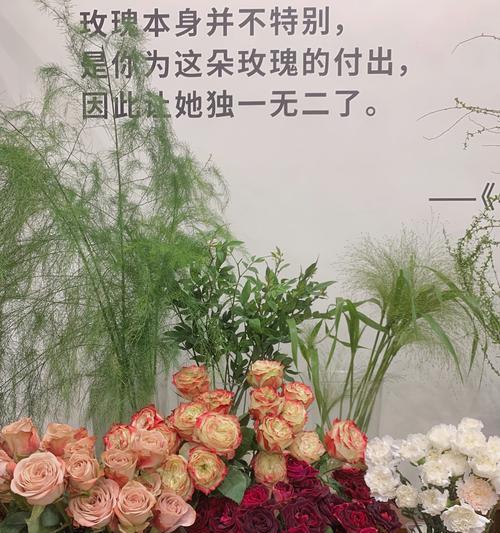 红豆花卉通常象征着什么？